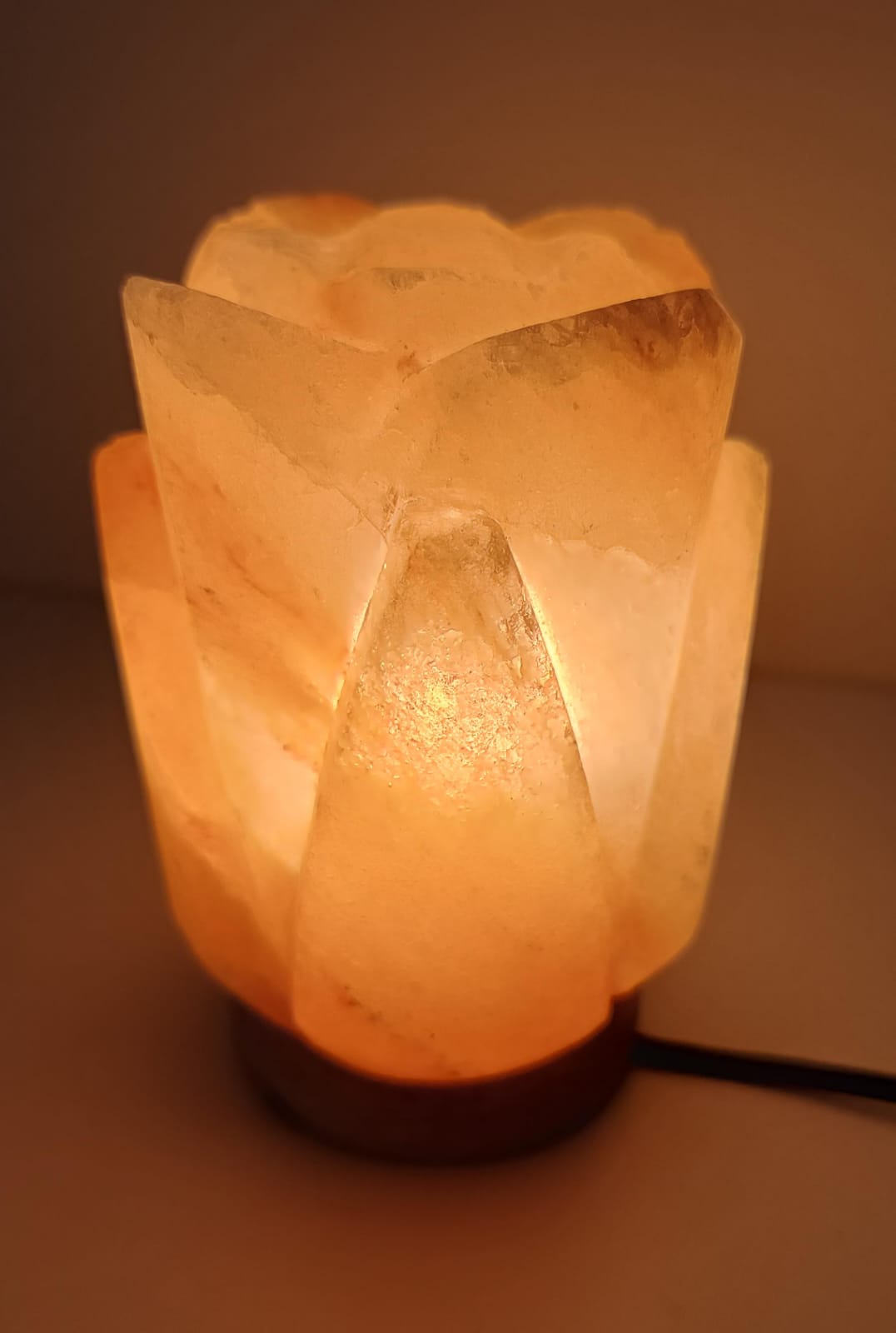 2-3 KG Premium Himalayan Lotus Salt Lamp