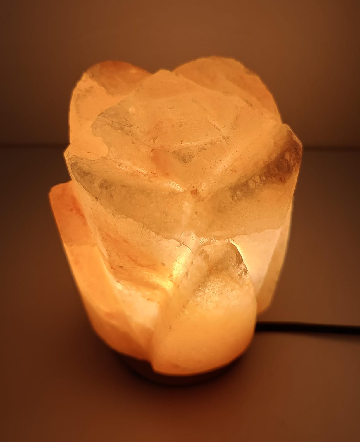 2-3 KG Premium Himalayan Lotus Salt Lamp